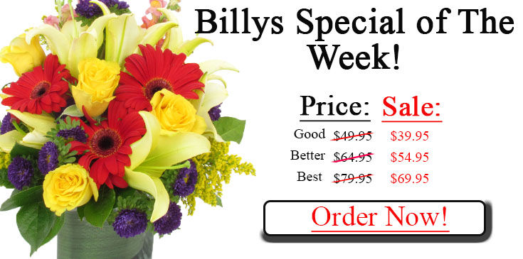 Special Feature - 