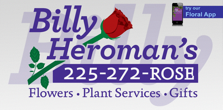 Billy's Flash 11/2/11 - 
