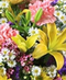 Mother's Day