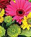 Birthday Flowers