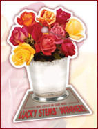 Lucky Stems&reg;