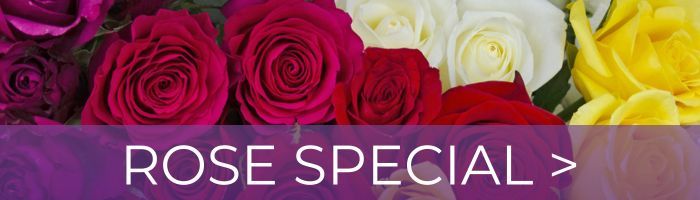 Roses Special