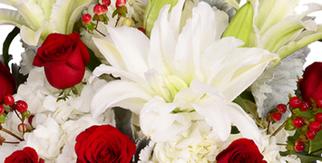 Billy's Valentine's Day Specials 