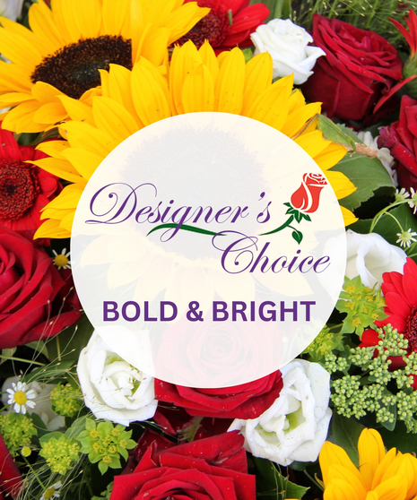 Designer's Choice - Bold & Bright Colors