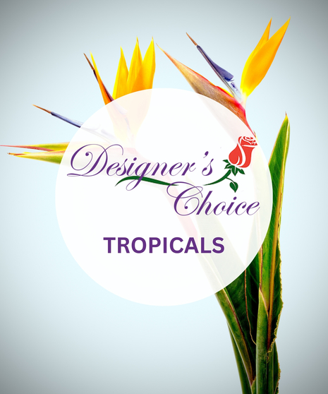 Designer's Choice - Tropicals