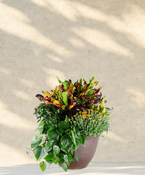 Fall Patio Pot