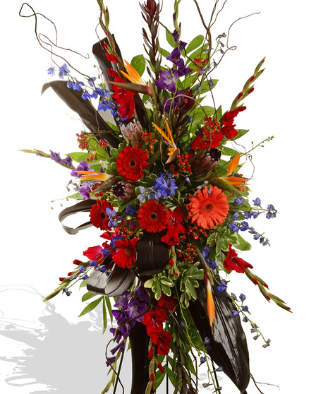 Vibrant Celebration