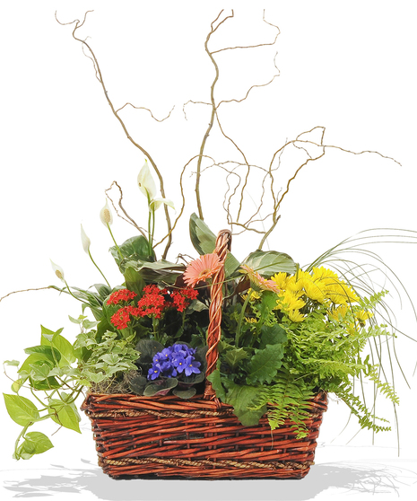 European Garden Basket