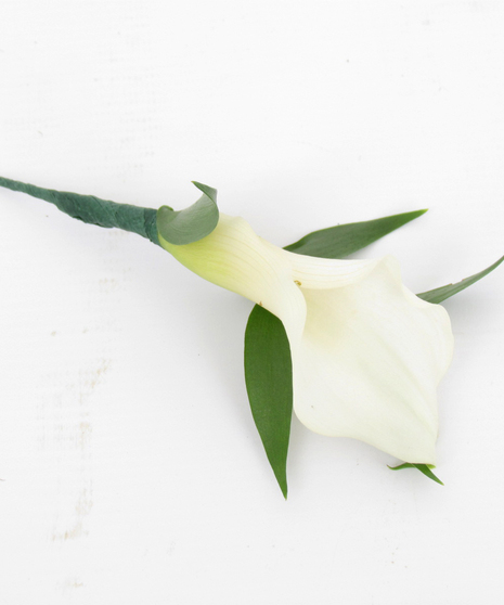 Mini Calla Bout