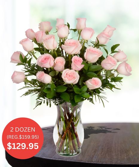Premium Pink Roses - Up to 5 Dozen - SALE
