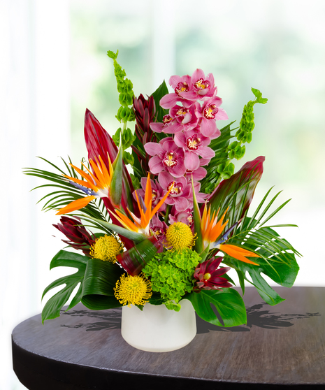 Luau tropical flower arrangement with bird of paradise, orchids, pincushion protea, and greenery in a white vase