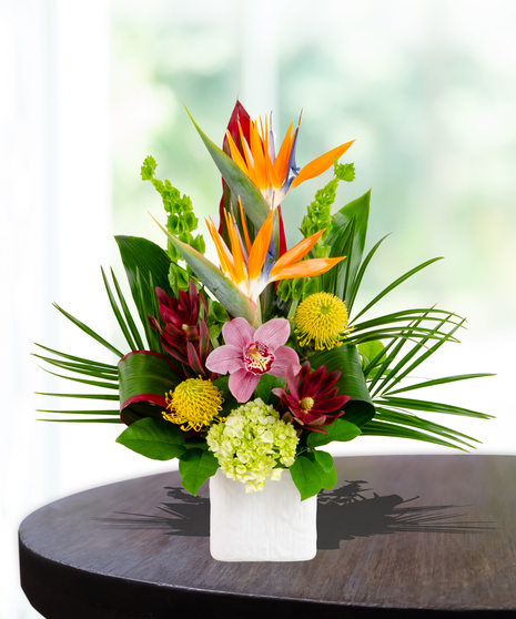 Luau tropical flower arrangement with bird of paradise, orchids, pincushion protea, and greenery in a white vase