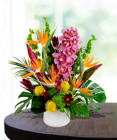 Luau tropical flower arrangement with bird of paradise, orchids, pincushion protea, and greenery in a white vase