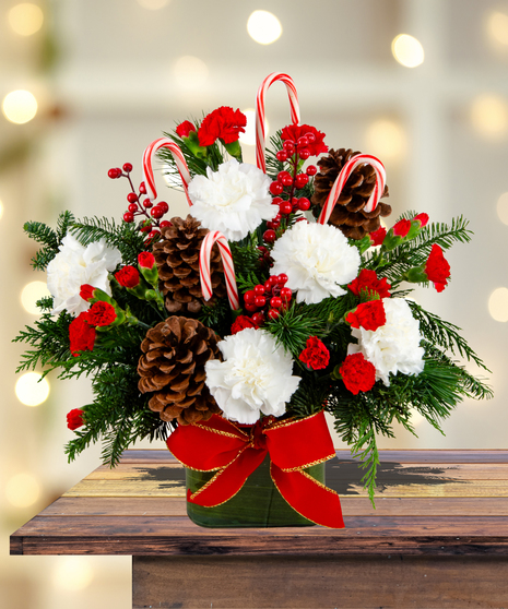 Canes & Cones whimsical Christmas arrangement with red and white carnations, pine cones, evergreen, red berries, and candy canes in a green container with a red bow