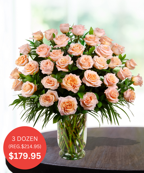 Premium Shimmer (Peach) Roses - up to 5 dozen - SALE