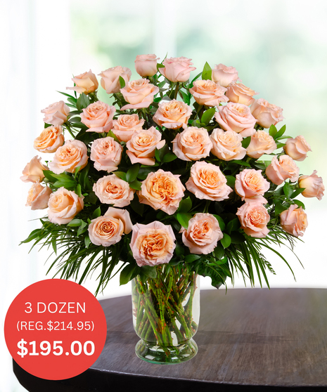 Premium Shimmer (Peach) Roses - up to 5 dozen - SALE