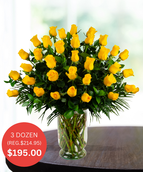 Premium Yellow Roses - up to 5 Dozen - SALE