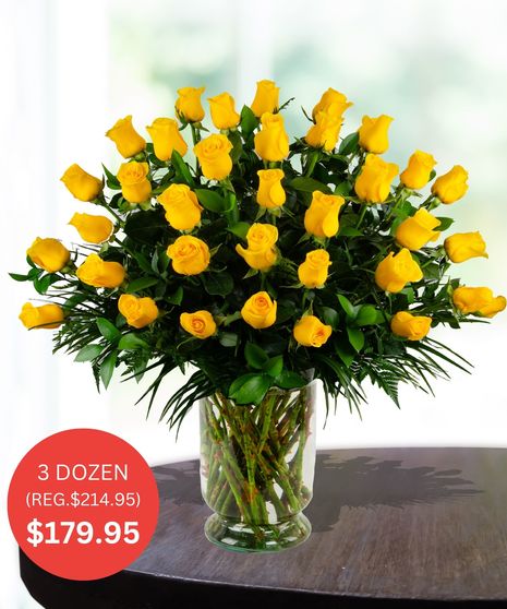 Premium Yellow Roses - up to 5 Dozen - SALE