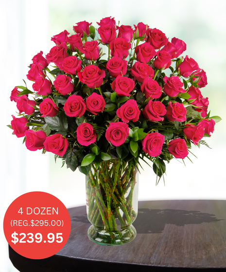 Premium Hot Pink Roses - up to 5 Dozen - SALE