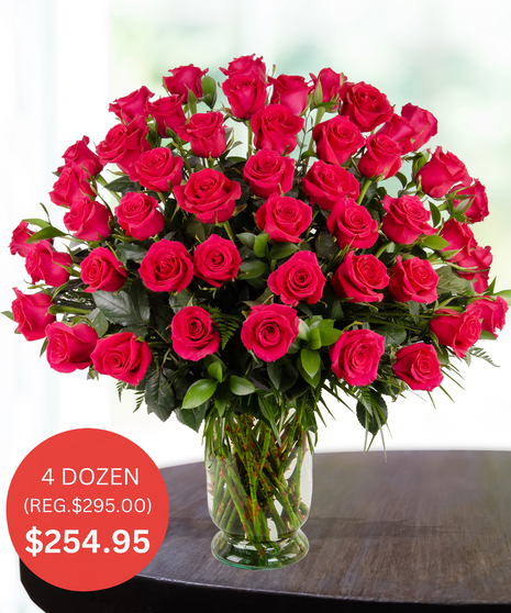 Premium Hot Pink Roses - up to 5 Dozen - SALE