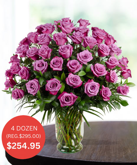 Premium Purple Roses - up to 5 Dozen - SALE