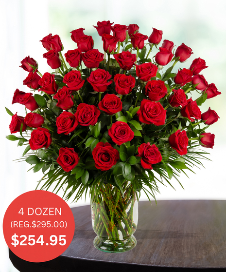 Valentine's day Long Stem Dozen Roses delivered Baton Rouge LA