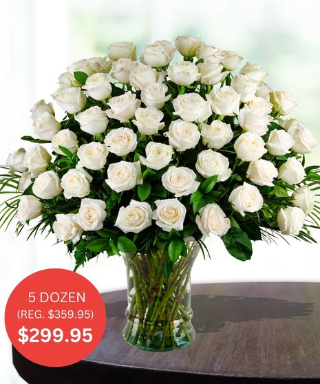 Premium White Roses - up to 5 Dozen - SALE