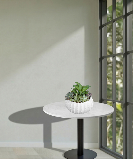 Sweet Succulents Planter