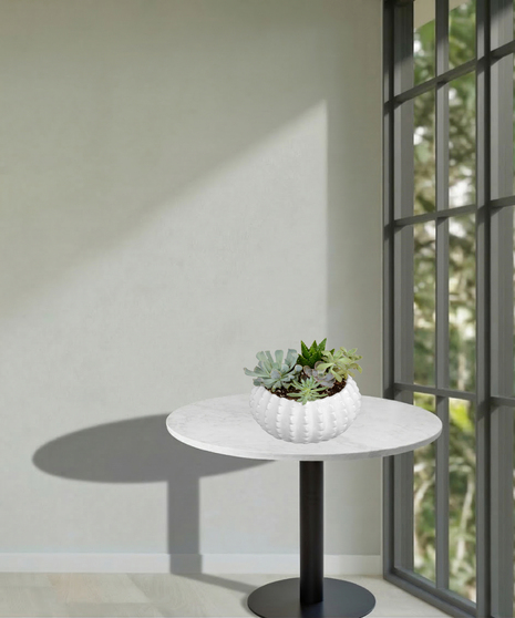 Sweet Succulents Planter - Delivered in Baton Rouge