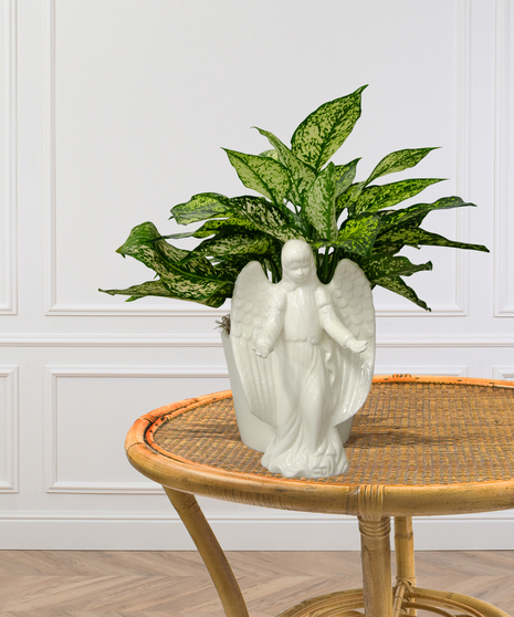 Angel Planter