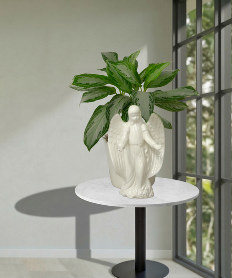 Angel Planter