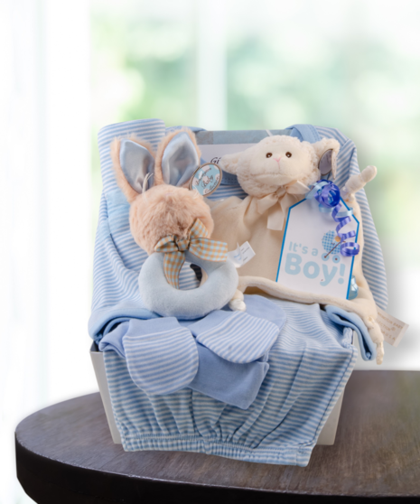baby boy blue gift basket delivered in Baton Rouge, LA