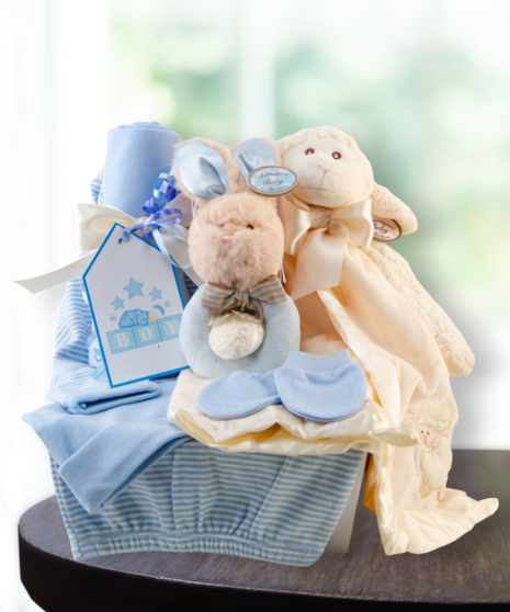 baby boy blue gift basket delivered in Baton Rouge, LA