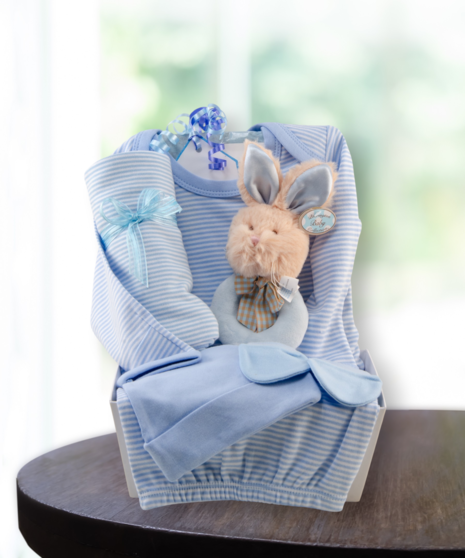 baby boy blue gift basket delivered in Baton Rouge, LA
