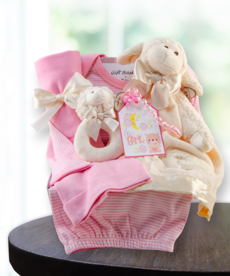 Baby Girl Basket