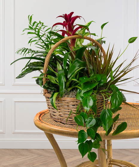 European Garden Basket