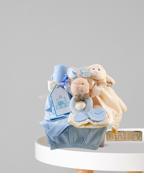 Baby Boy Basket