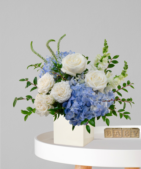 Oh Boy baby boy flower arrangement in ivory cube with white roses, blue hydrangeas, and white snapdragons