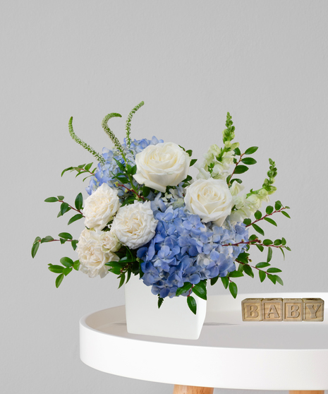 Oh Boy baby boy flower arrangement in ivory cube with white roses, blue hydrangeas, and white snapdragons