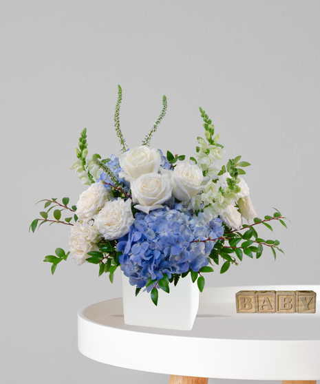 Oh Boy baby boy flower arrangement in ivory cube with white roses, blue hydrangeas, and white snapdragons