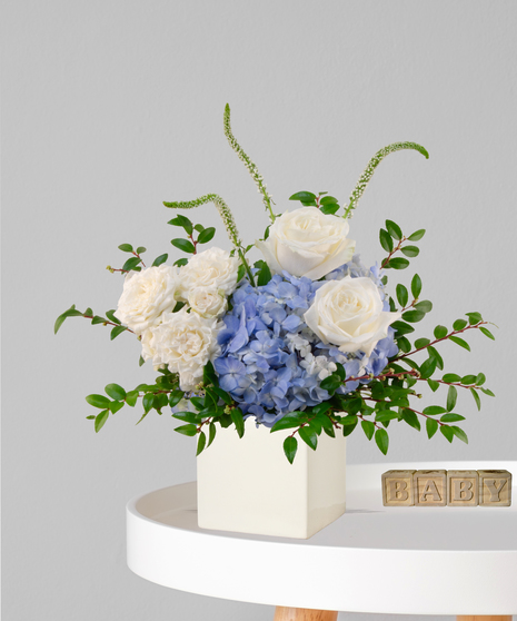 Oh Boy baby boy flower arrangement in ivory cube with white roses, blue hydrangeas, and white snapdragons