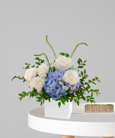 Oh Boy baby boy flower arrangement in ivory cube with white roses, blue hydrangeas, and white snapdragons