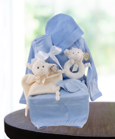 baby boy blue gift basket delivered in Baton Rouge, LA