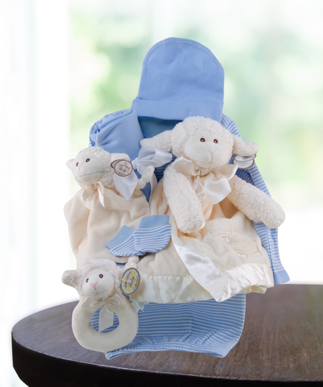 baby boy blue gift basket delivered in Baton Rouge, LA