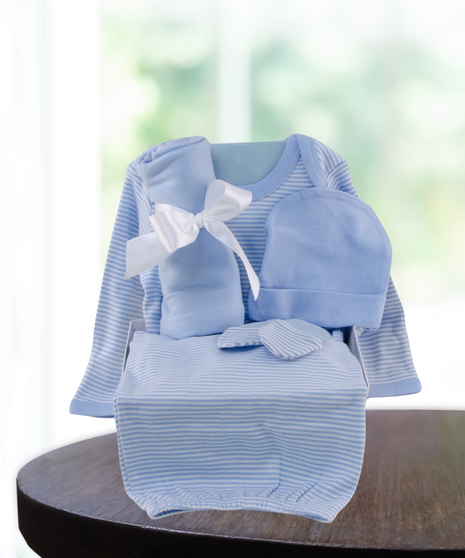 baby boy blue gift basket delivered in Baton Rouge, LA