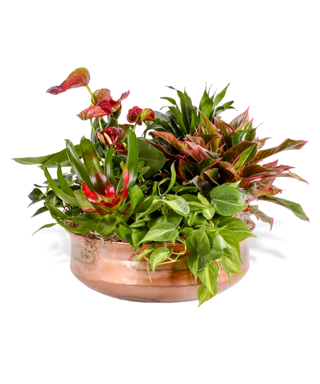 European Garden in Copper Pot