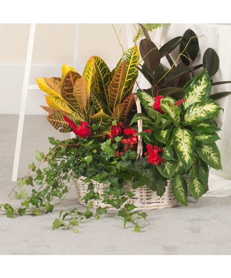 European Garden Basket