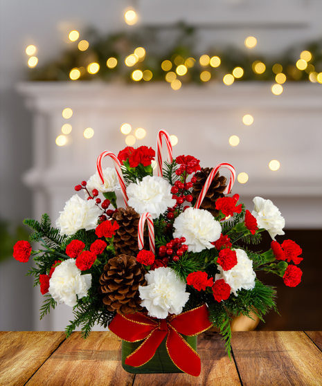 Canes & Cones whimsical Christmas arrangement with red and white carnations, pine cones, evergreen, red berries, and candy canes in a green container with a red bow