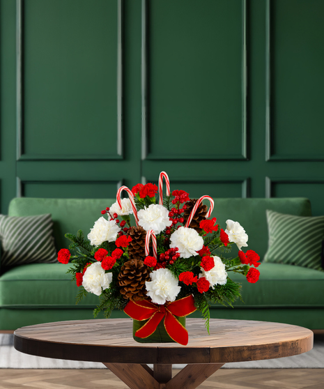 Canes & Cones whimsical Christmas arrangement with red and white carnations, pine cones, evergreen, red berries, and candy canes in a green container with a red bow