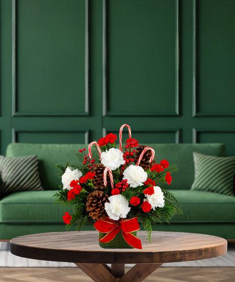 Canes & Cones whimsical Christmas arrangement with red and white carnations, pine cones, evergreen, red berries, and candy canes in a green container with a red bow